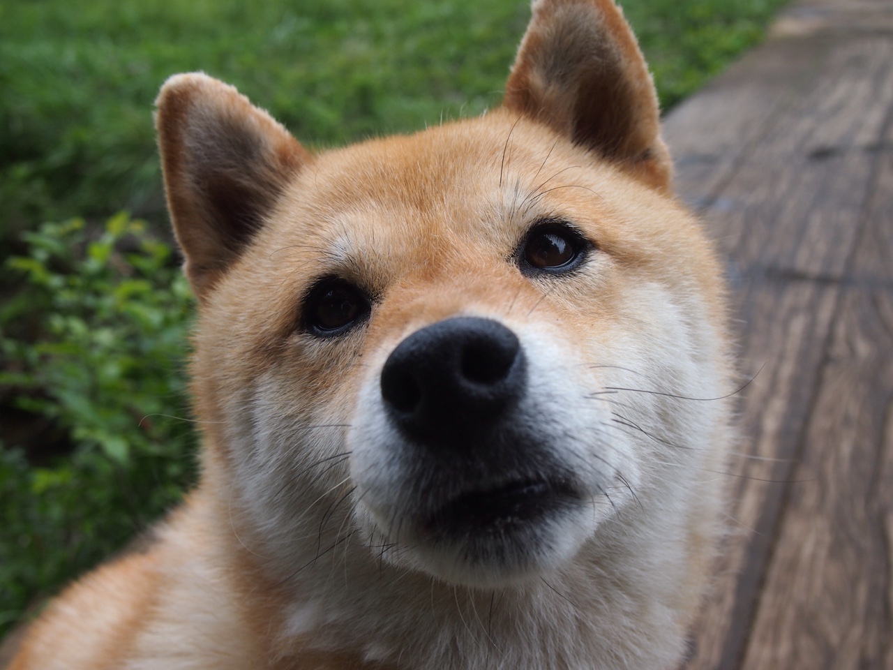 中超俱乐部赞助商活跃度提升,中超联赛赞助