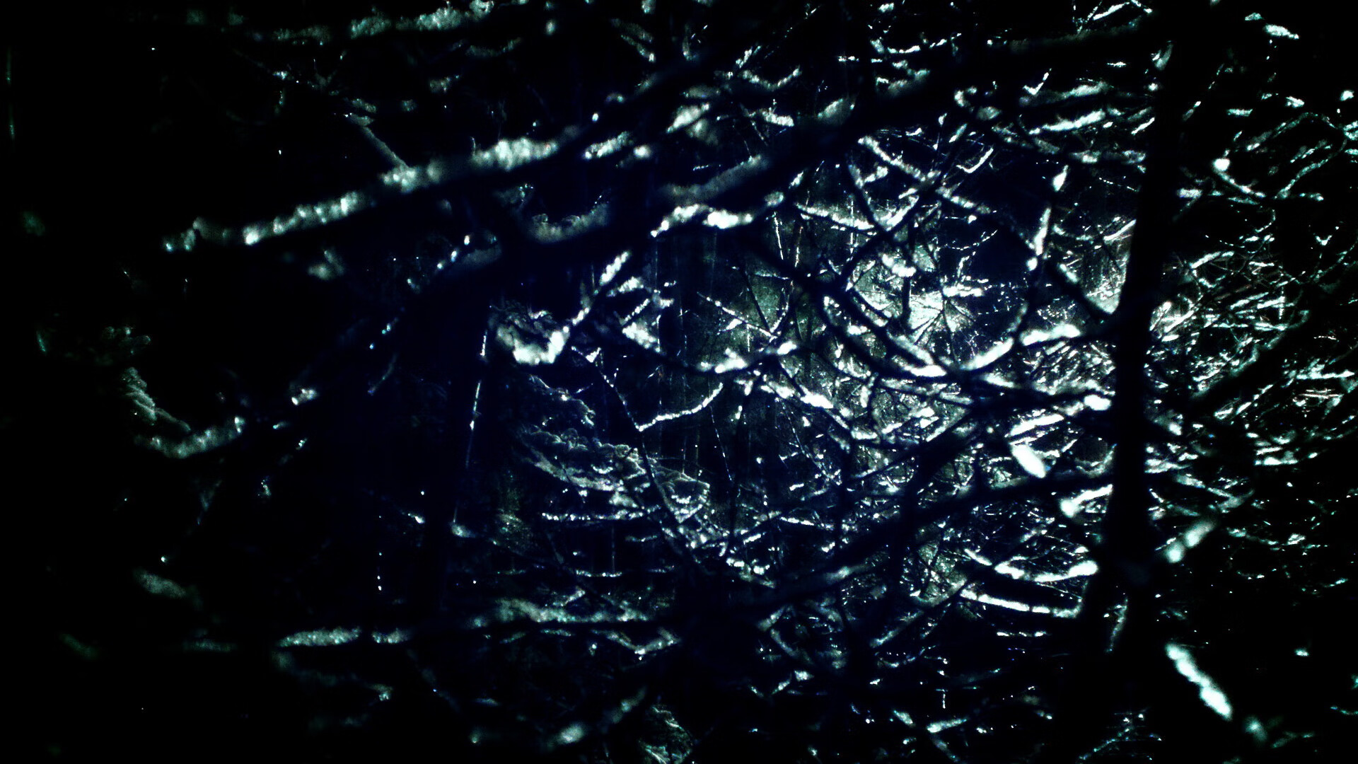 凯尔特人主场击退猛龙，凯尔特人vs猛龙全场回放