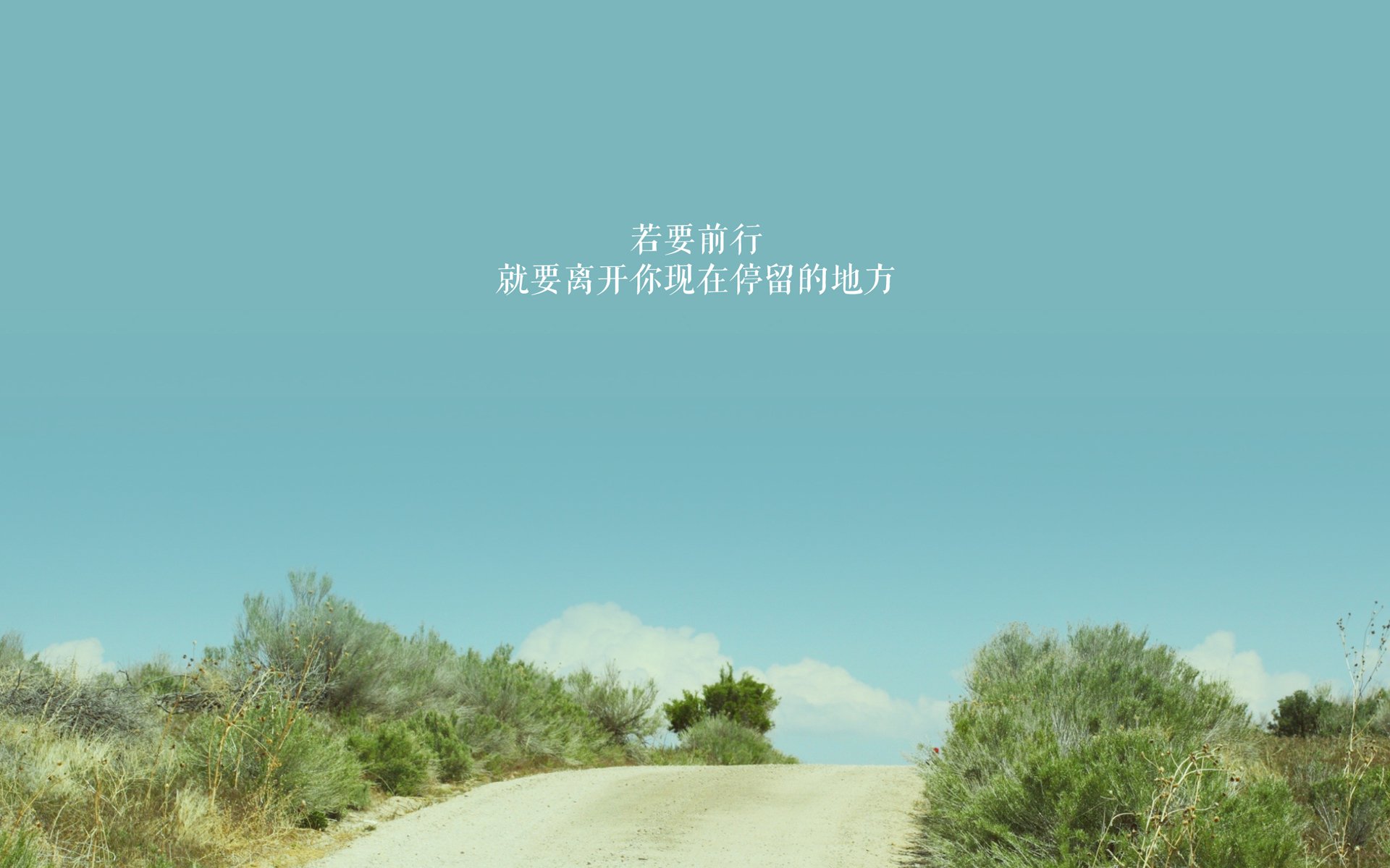 意甲球员视觉追踪训练促进快速决策能力的研究