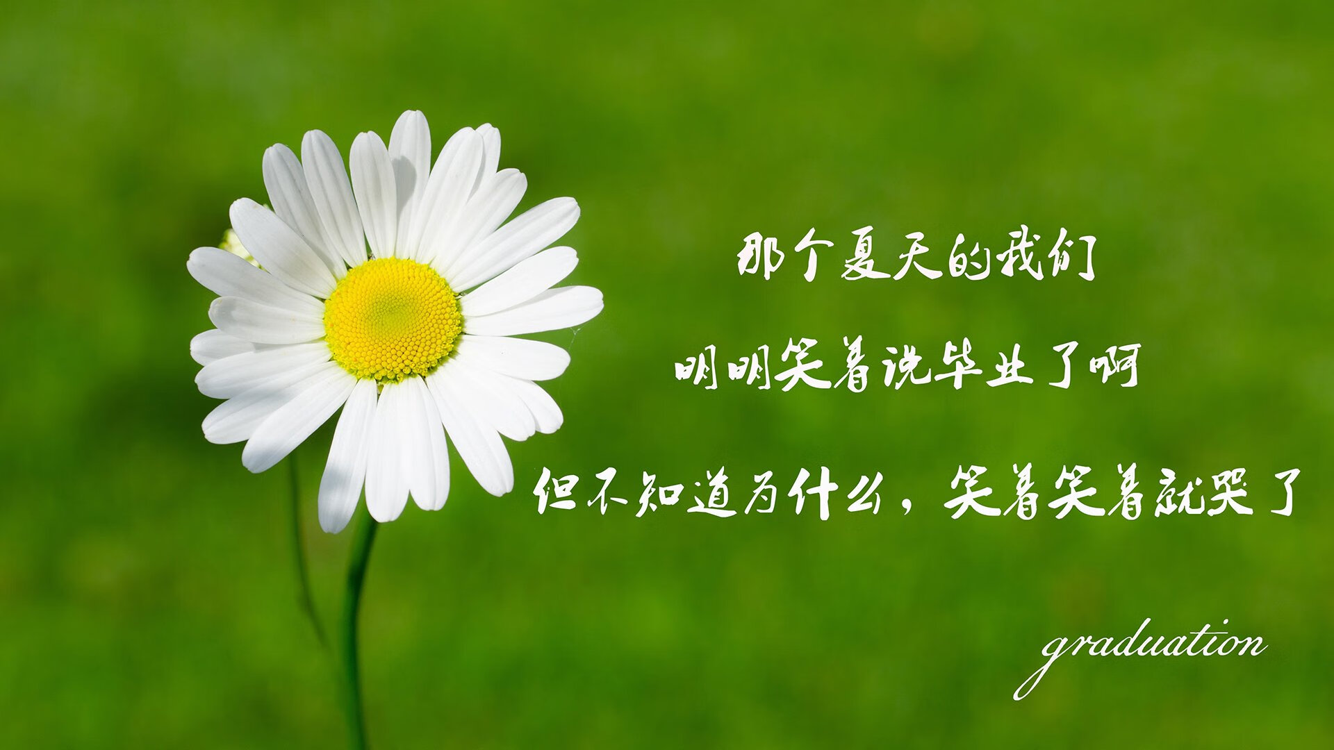 九游娱乐APP-CBA联盟持续推动智能分析系统辅助比赛决策，cba赛事分析师