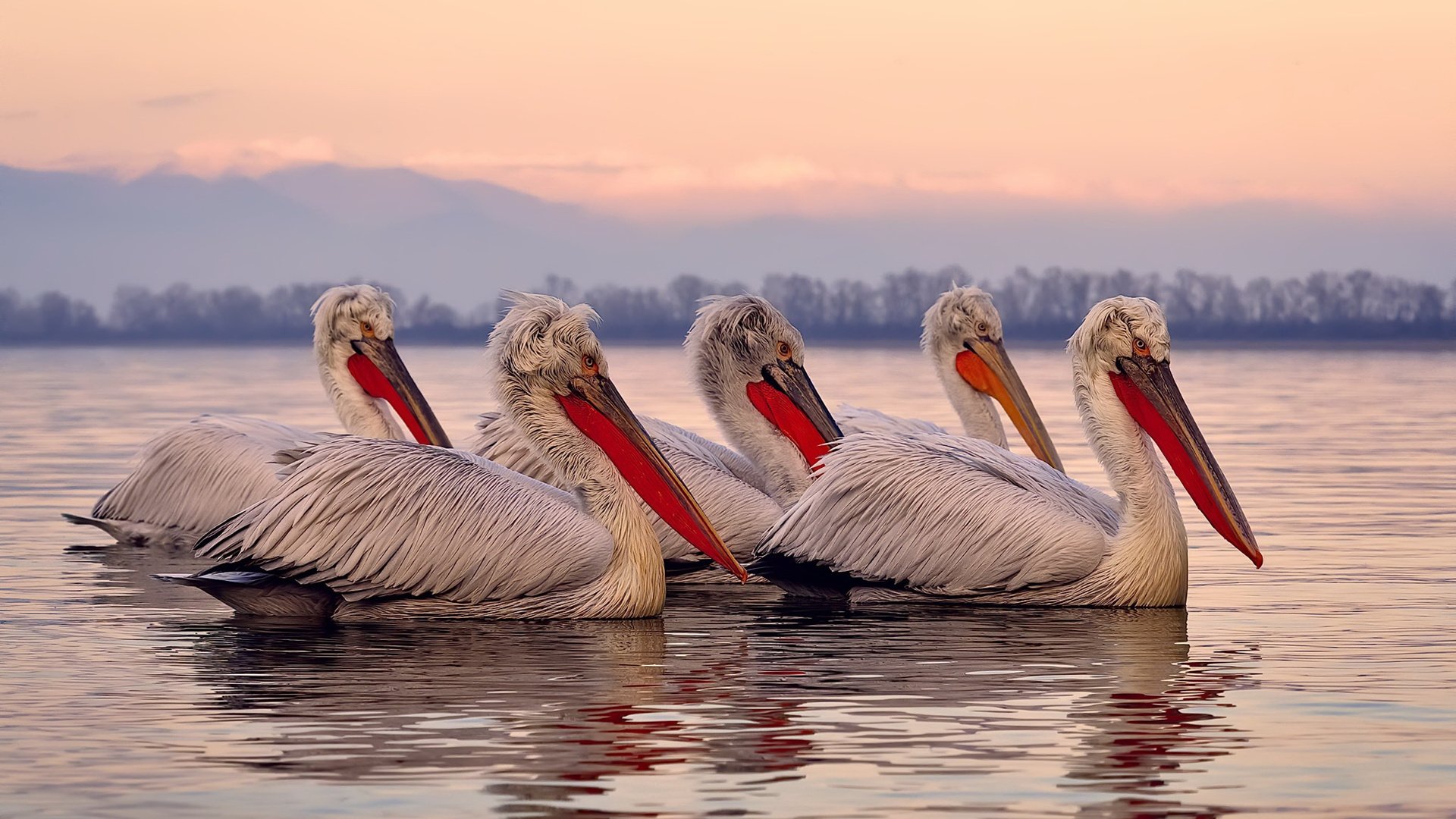九游网页版官网-中国三人篮球男队提高比赛强度，中国三人篮球男队提高比赛强度了吗