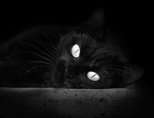 九游网游官网-国际热身赛U23国足冲击 技术能力获关注，u22热身赛