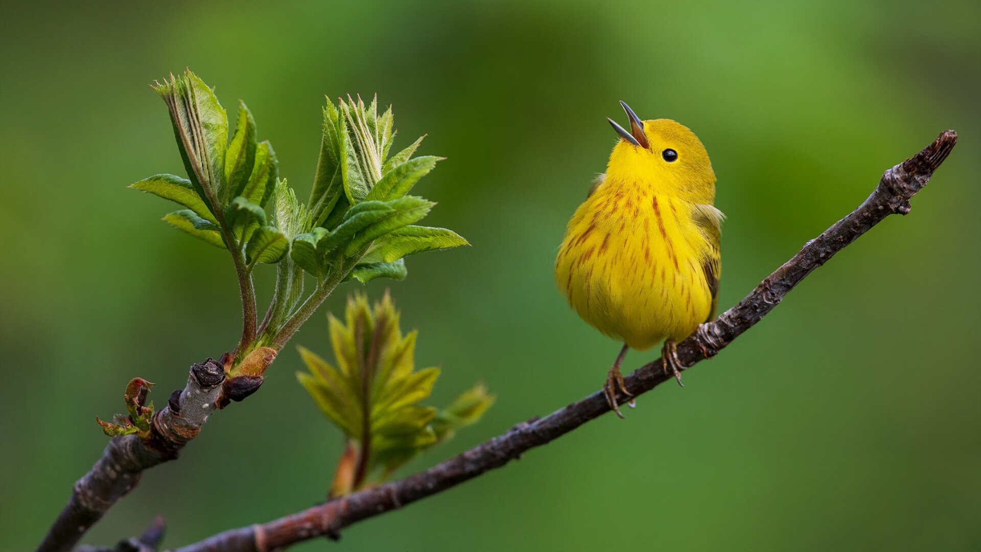 JiuyouAPP下载-奥预赛中国女足逆袭 球员状态明显回升，中国女足奥预赛出线