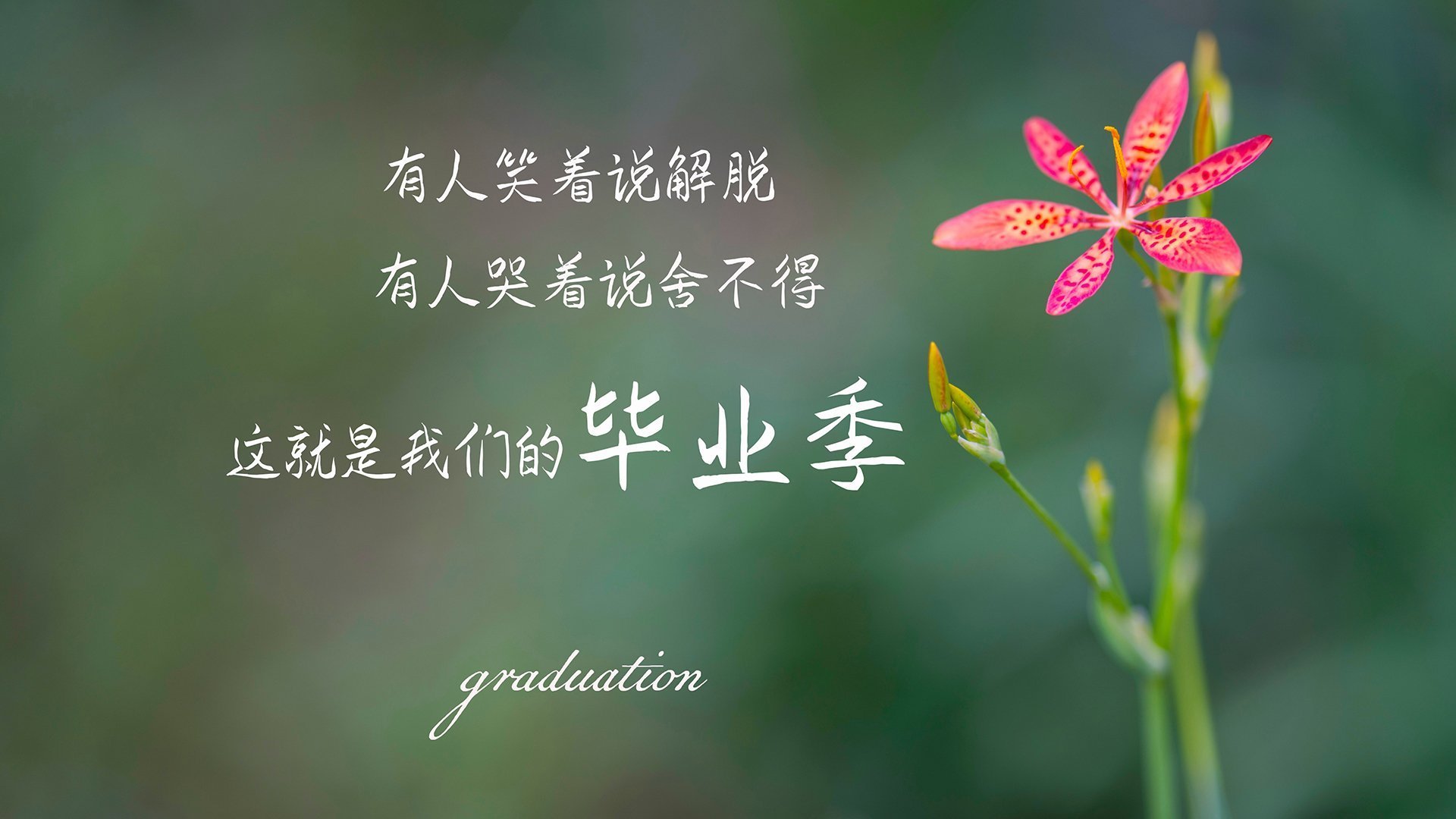 基层足球缺乏统一发展目标,基层足球缺乏统一发展目标的原因