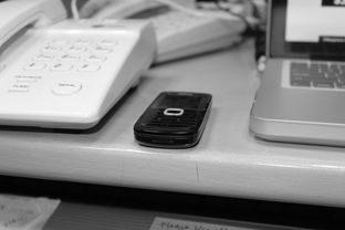 九游sports-技术数据揭示冠军转身平均仅0.65秒，冠军转盘