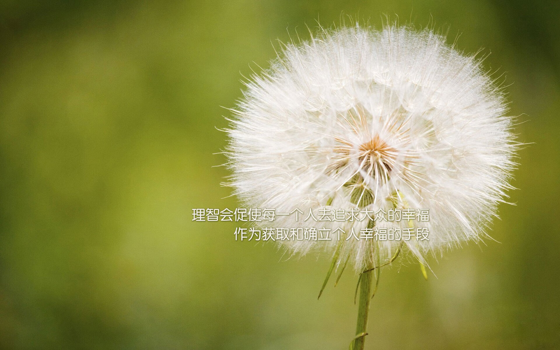 九游网页版官网-男子蝶泳滑行比重中美控制最优，蝶泳滑手