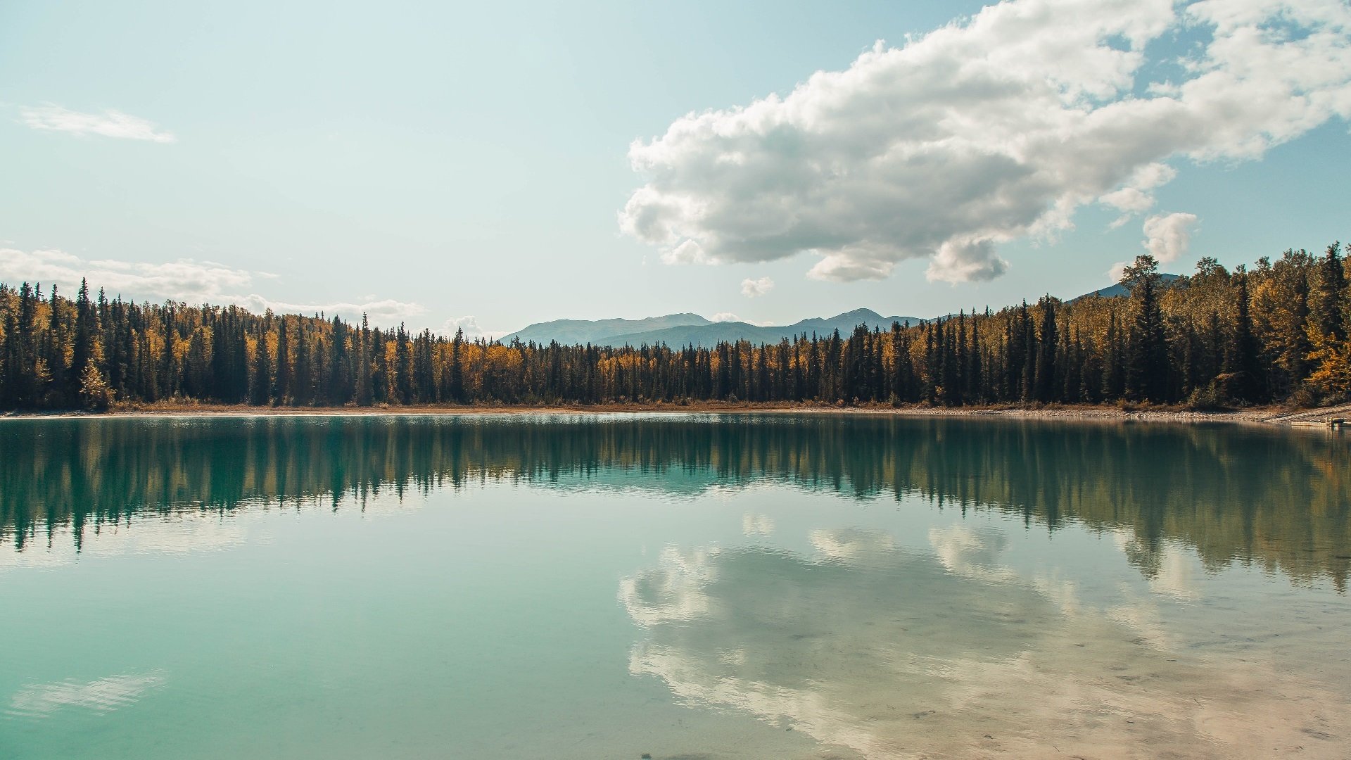 九游官网pc-伊丽莎白·德克斯泳姿优雅成赛场焦点，演员_伊丽莎白·德比齐