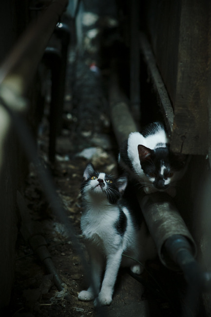 体育产业园区项目吸引多方资本关注,体育产业园的真谛是什么