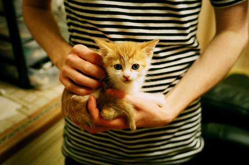 张伟丽签约新赞助商拓展个人品牌力，张伟丽 专访