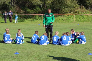 九游娱乐(jiuyou)官网-意甲攻守大比拼：速度与战术的融合！，意甲战术强在哪里