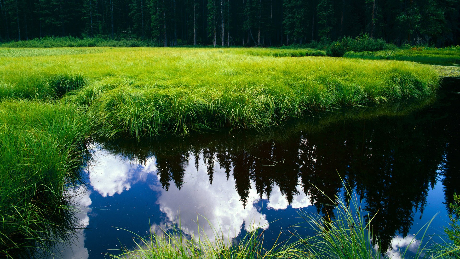 九游app下载中心-青少年篮球训练课中加入反应训练提升场上决策速度，青少年篮球训练现状及对策